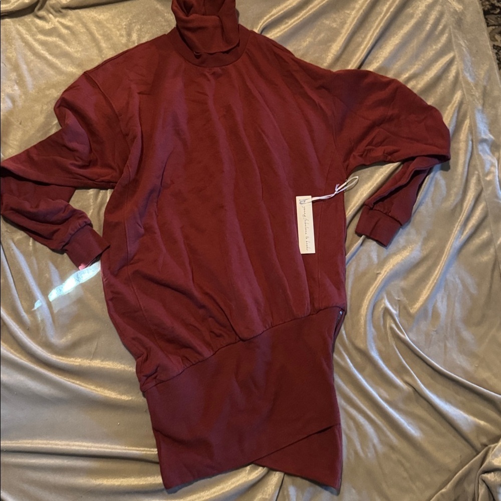Young Fabulous & Broke Maroon Asymmetrical Turtleneck Dress XS NWT $178 - Picture 2 of 6